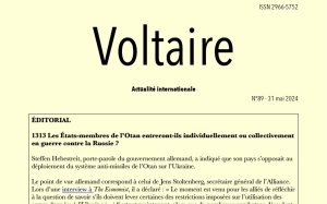 Voltaire, actualité internationale, n°89